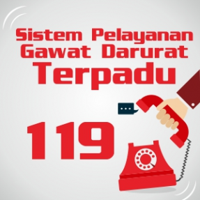 Sistem Pelayanan Gawat Darurat Terpadu 119